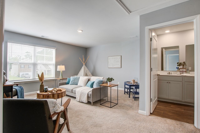 carpeted living room with sink