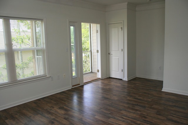 1755 Central Park Rd Unit 9103, Charleston, SC 29412 - spare room with plenty of natural light, ornamental molding, dark wood-style flooring, and baseboards