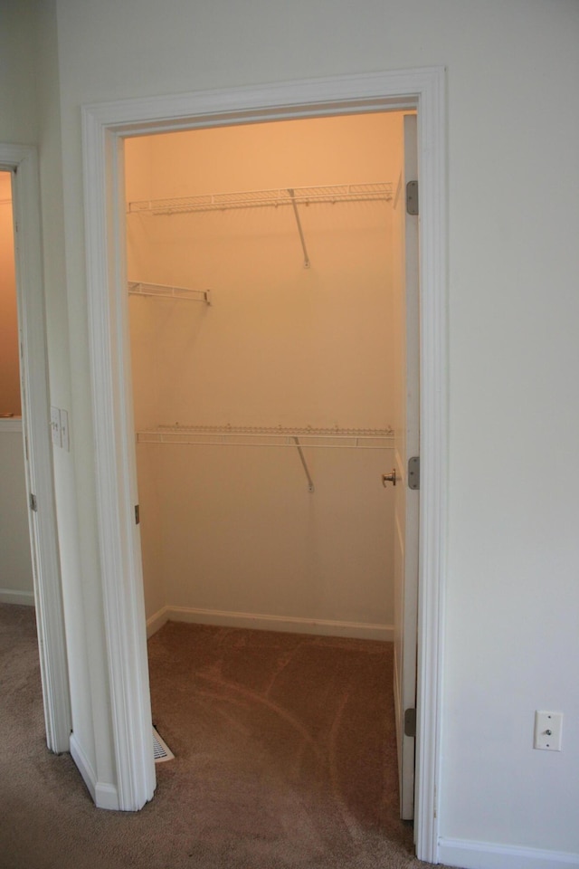 1755 Central Park Rd Unit 9103, Charleston, SC 29412 - spacious closet with carpet flooring