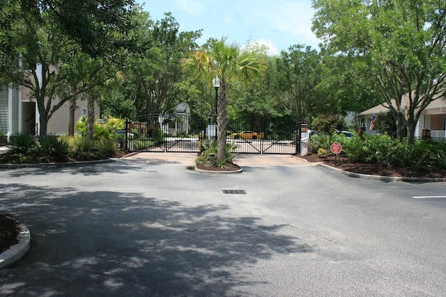 1755 Central Park Rd Unit 9103, Charleston, SC 29412 - view of asphalt street with a gate, curbs, street lighting, and a gated entry