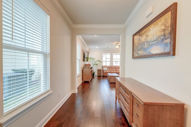 hall with ornamental molding and dark hardwood / wood-style floors