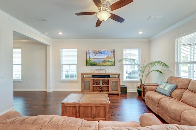 living room with ornamental molding, dark wood-type flooring, and ceiling fan