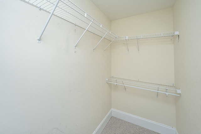 3005 Macbeth Creek Dr, Charleston, SC 29414 - view of walk in closet