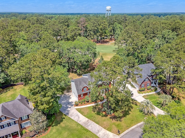 aerial view of a forest