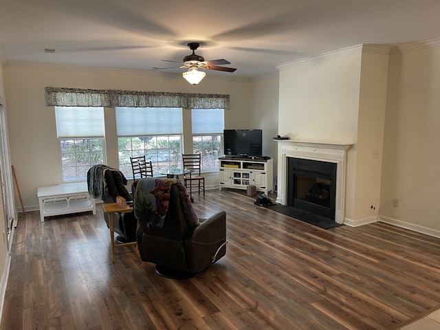 living room featuring crown molding, dark wood-type flooring, and ceiling fan