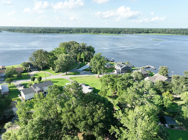 1804 Bass Rd, Moncks Corner, SC 29461 - aerial view of property and surrounding area with a nearby body of water and nearby suburban area