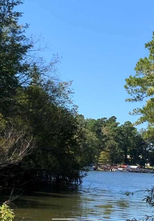 Listing photo 3 for LOT18A Patriot Rd, Manning SC 29102