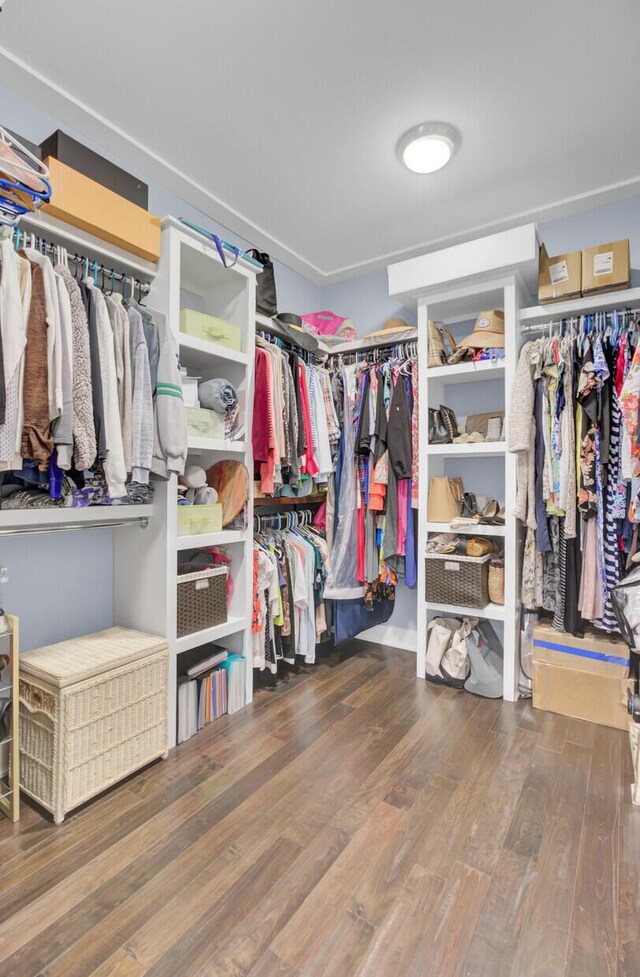 828 Bridge Point Cir, Mount Pleasant, SC 29464 - walk in closet featuring wood finished floors
