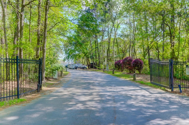 view of road with a gate