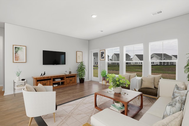 living room with a healthy amount of sunlight and light hardwood / wood-style floors