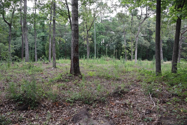 00 Hickory Spring Rd, Eutawville SC, 29048 land for sale