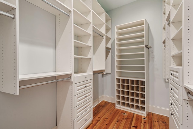 104 Beach St, Mount Pleasant, SC 29464 - walk in closet featuring light wood-type flooring and radiator heating unit