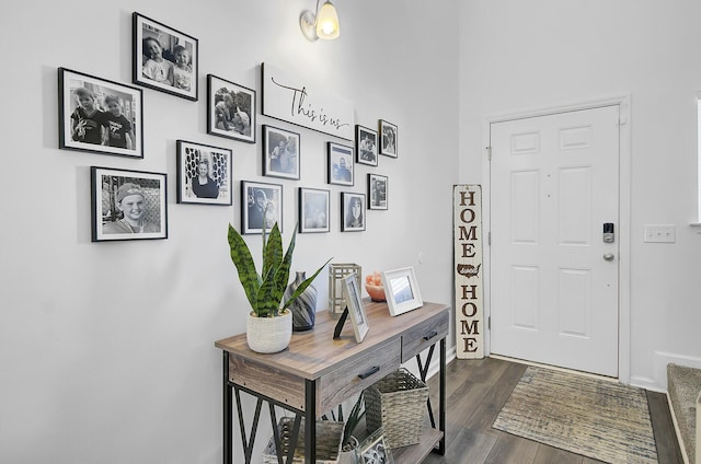 entryway featuring dark wood-style flooring