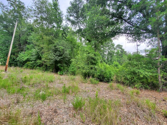 0 Second Texas Rd, Saint George SC, 29477 land for sale