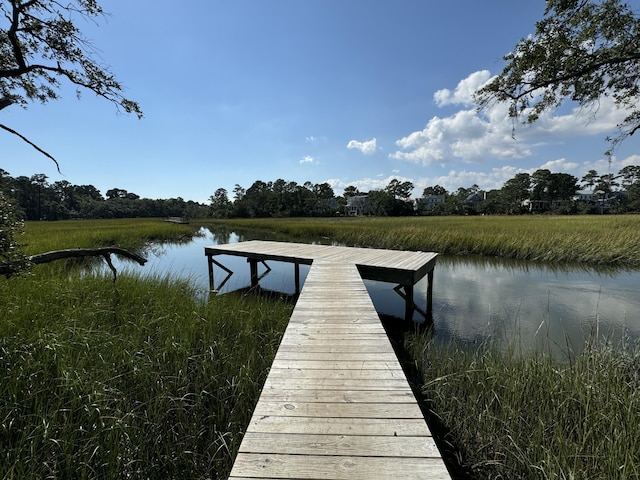 dock area with a water view