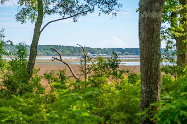 water view featuring a heavily wooded area