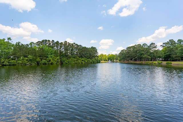 water view with a heavily wooded area