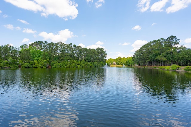 water view