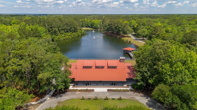 aerial view of a forest and a large body of water