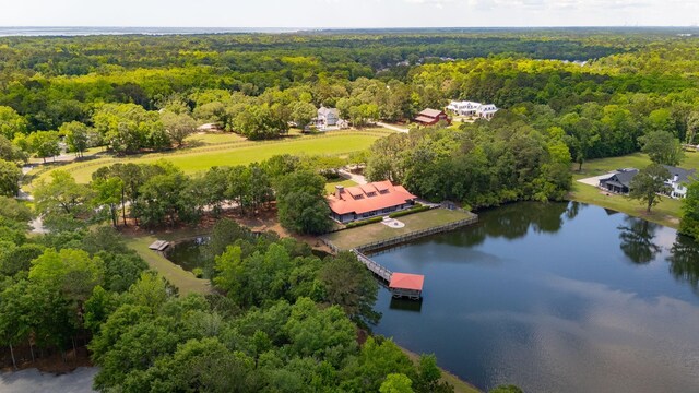 bird's eye view of a forest and a large body of water