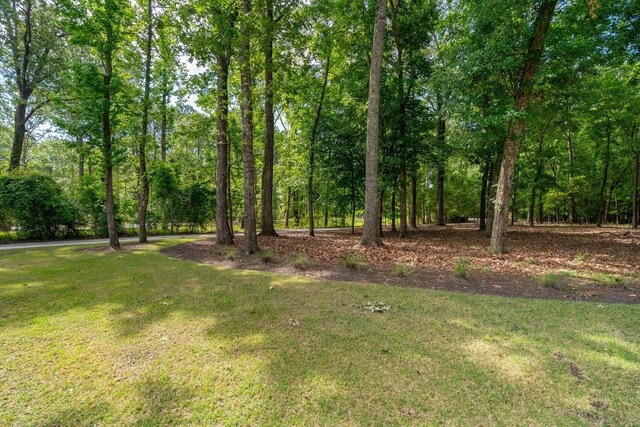 view of grassy yard