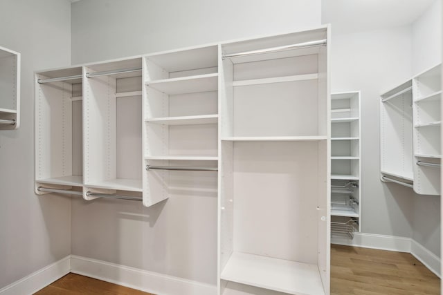 walk in closet with wood finished floors
