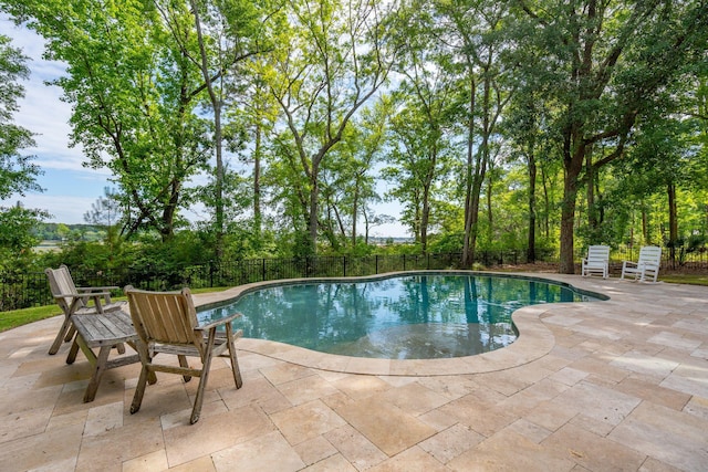 view of swimming pool with a patio and fence