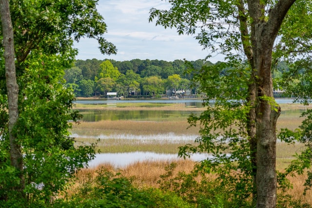 water view featuring a forest