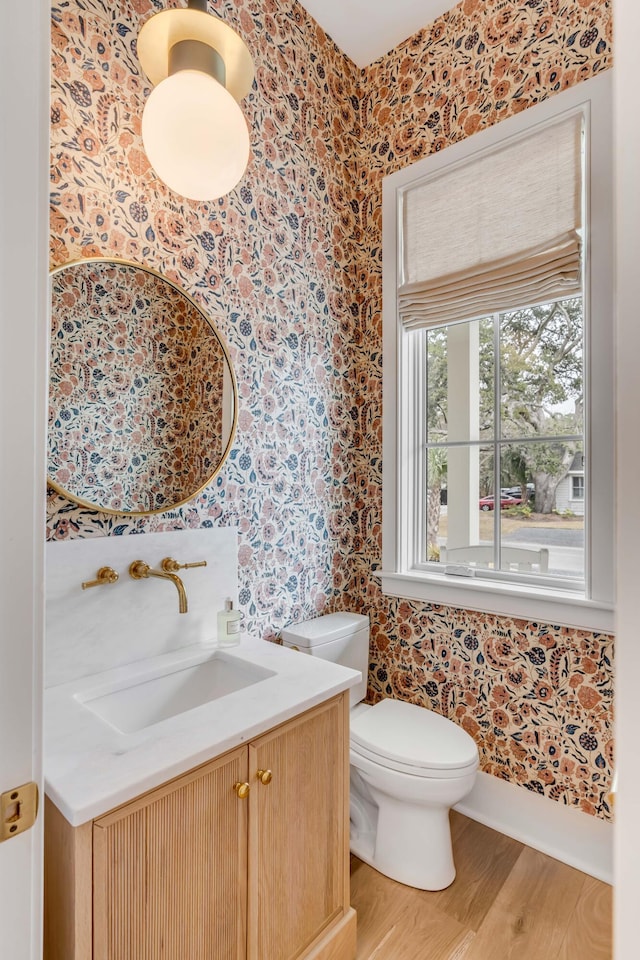 bathroom with wood-type flooring, vanity, and toilet