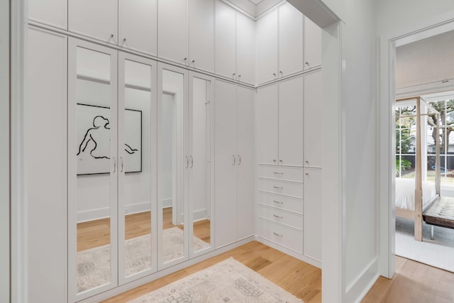 walk in closet with light hardwood / wood-style floors