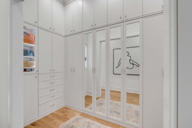 walk in closet featuring light wood-type flooring