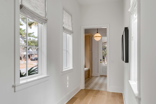 corridor featuring light hardwood / wood-style flooring