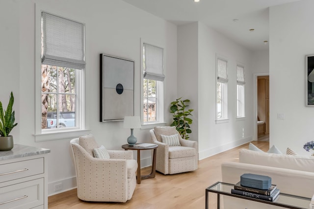 living room featuring light wood-type flooring and a wealth of natural light