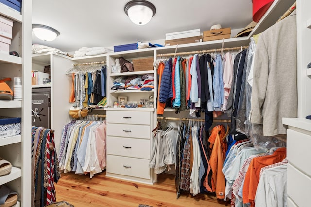 walk in closet featuring wood finished floors