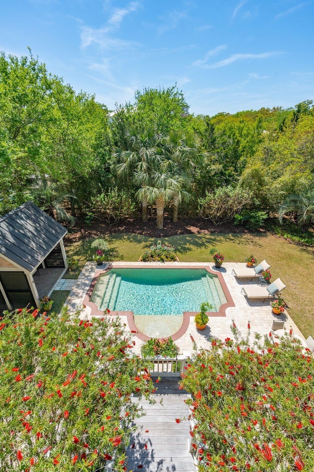 pool with a lawn and a patio