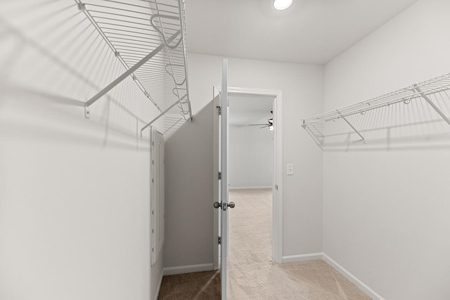 walk in closet with carpet floors and ceiling fan