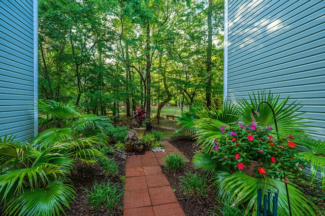 401 S Elgin Ct Unit 401, Charleston, SC 29414 - view of yard