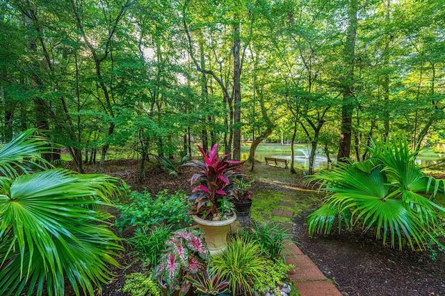 401 S Elgin Ct Unit 401, Charleston, SC 29414 - view of yard