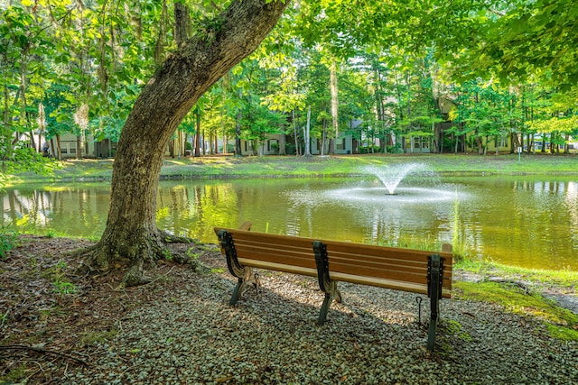 401 S Elgin Ct Unit 401, Charleston, SC 29414 - view of property's community with a water view