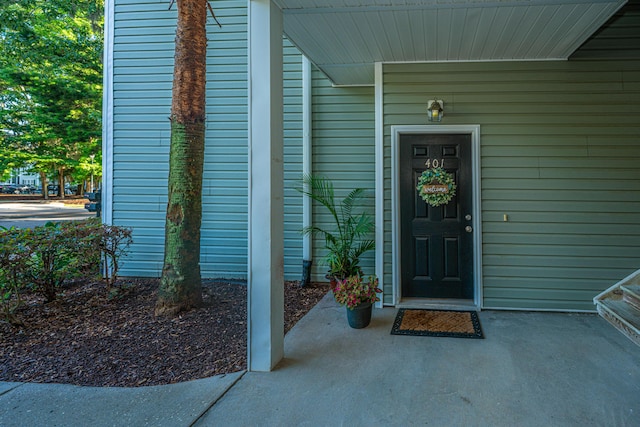 401 S Elgin Ct Unit 401, Charleston, SC 29414 - view of doorway to property