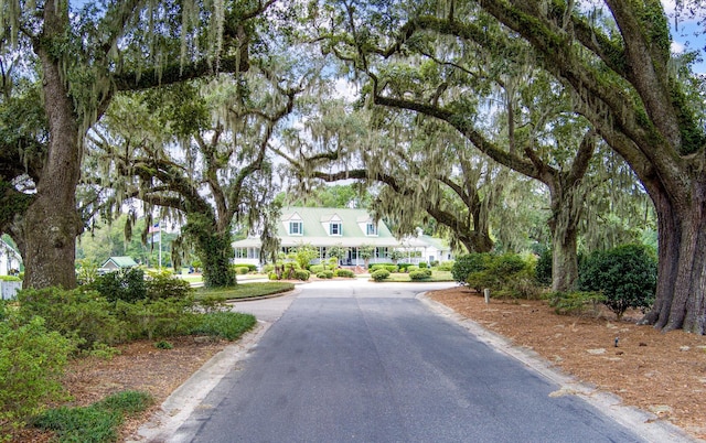 115 Golfview Ln, Summerville, SC 29485 - view of asphalt street