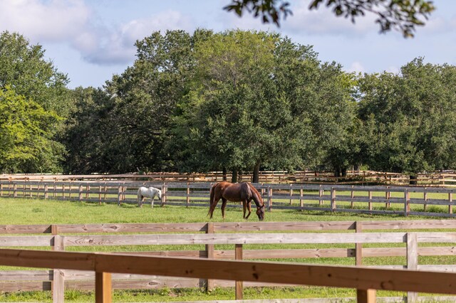 view of yard featuring a rural view and fence