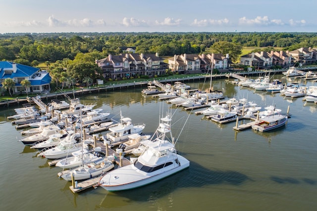 drone / aerial view of numerous boat docks and a large body of water