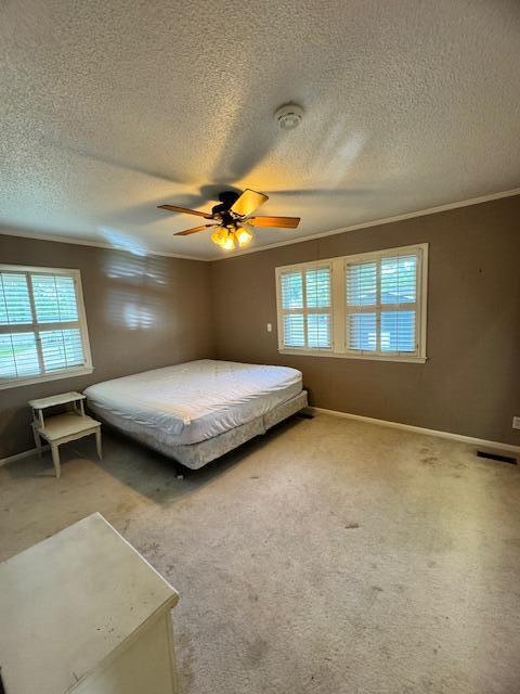 1129 Levi St, Manning, SC 29102 - carpeted bedroom with multiple windows, a textured ceiling, crown molding, baseboards, and ceiling fan