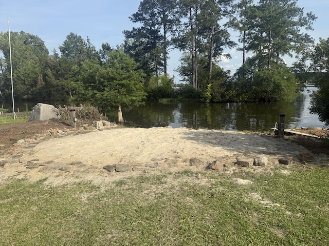 1129 Levi St, Manning, SC 29102 - water view