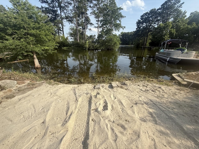 1129 Levi St, Manning, SC 29102 - water view
