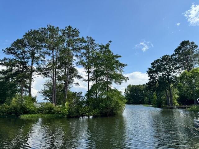 1129 Levi St, Manning, SC 29102 - water view