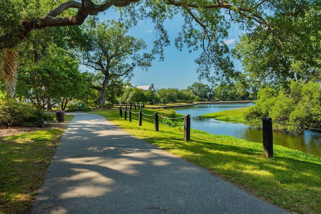 1407 Wando View St, Daniel Island, SC 29492 - surrounding community with a water view and a lawn