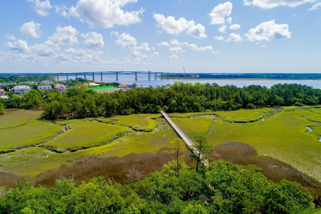 1407 Wando View St, Daniel Island, SC 29492 - aerial view of a large body of water and a notable bridge