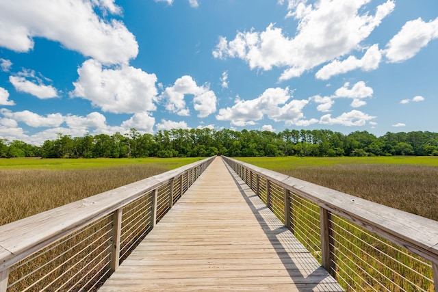 1407 Wando View St, Daniel Island, SC 29492 - view of dock area